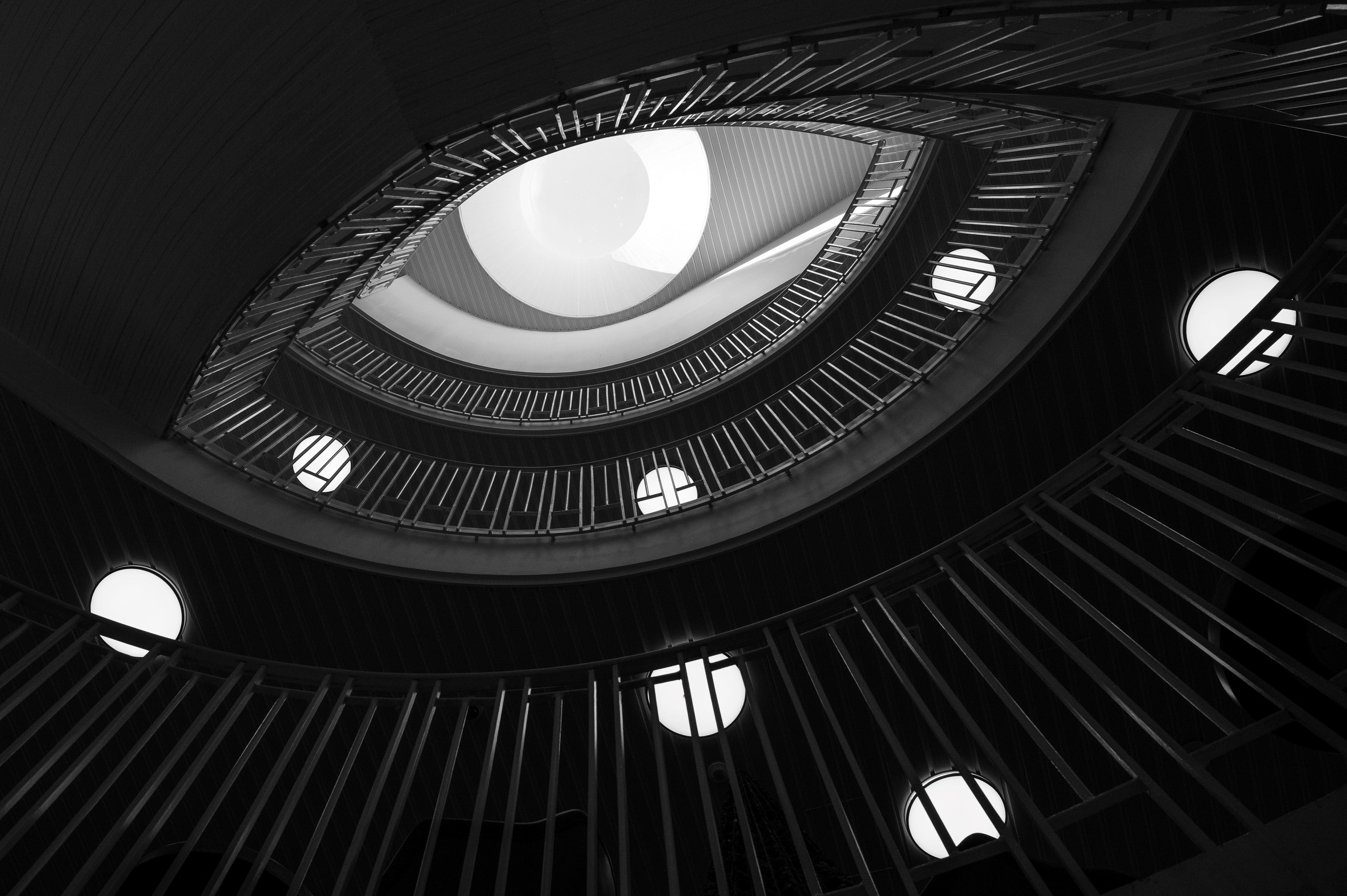 Image alt text